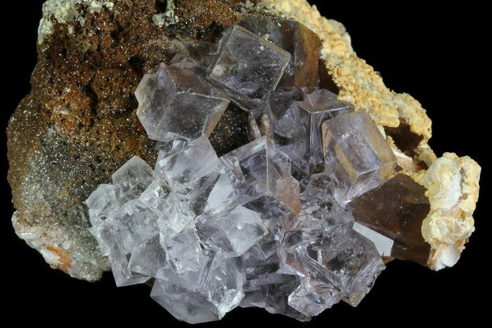 Lustrous Purple Cubic Fluorite Crystals - Morocco #80270